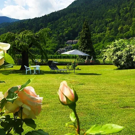 Hébergement de vacances Paradiso Sul Calceranica al Lago